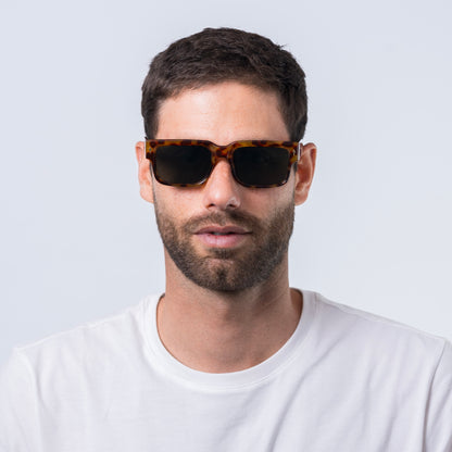 narciso - tort