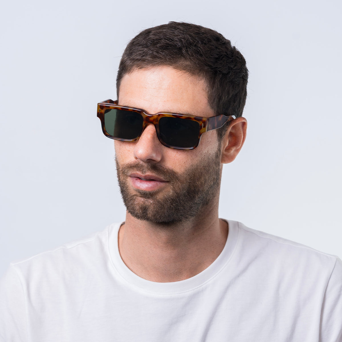 narciso - tort