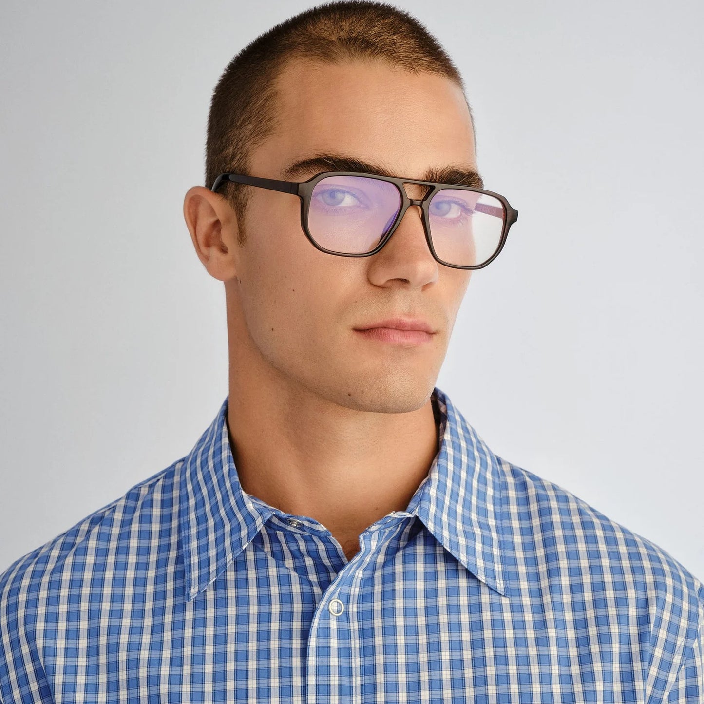 the atticus - bark +2.00