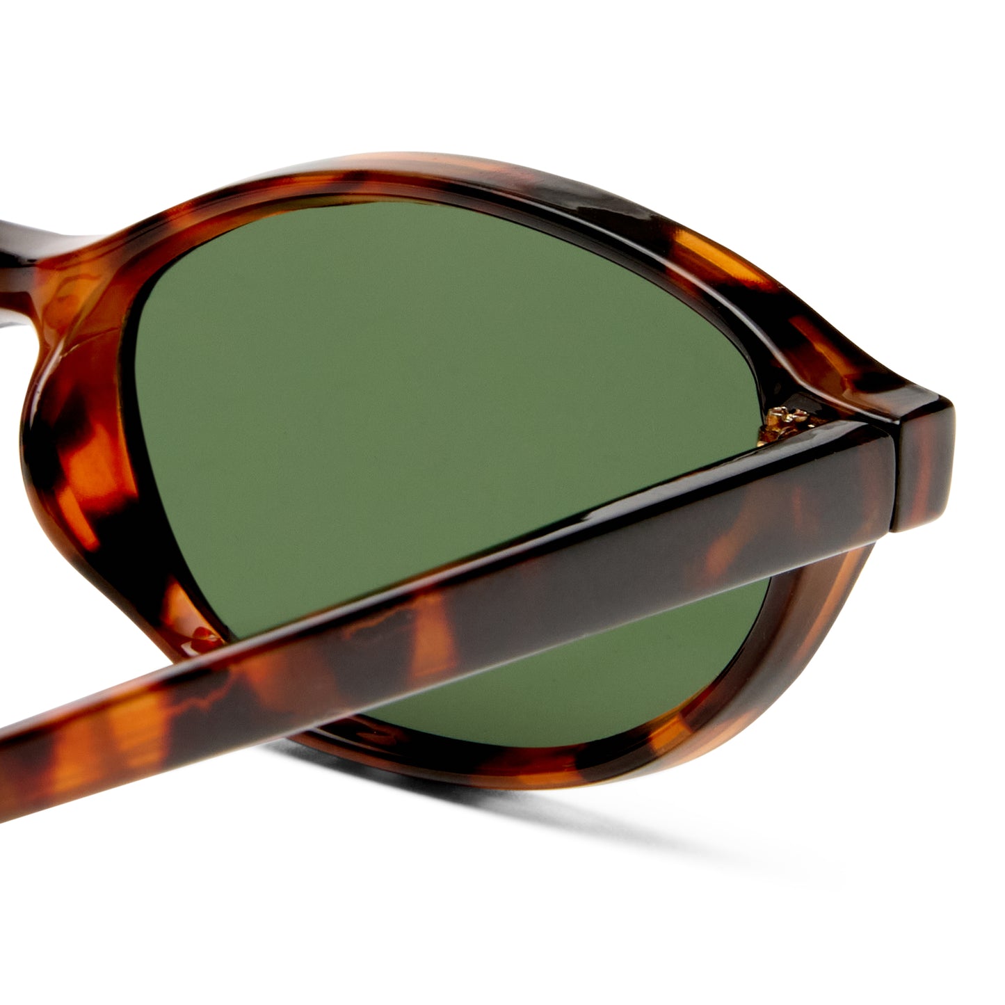 earthshine - dark tort