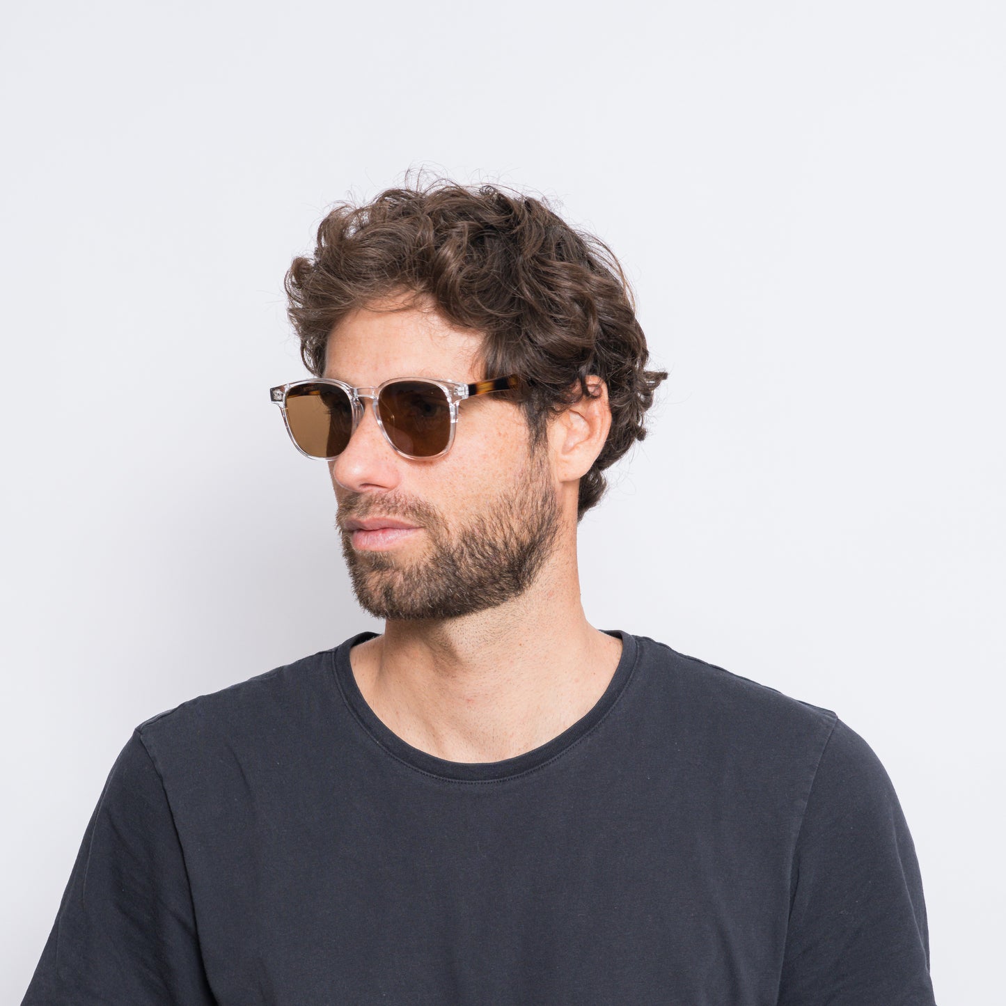 haru - clear/brown