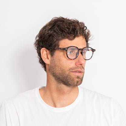 quericoli - optical tort