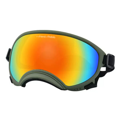 lentes de perro