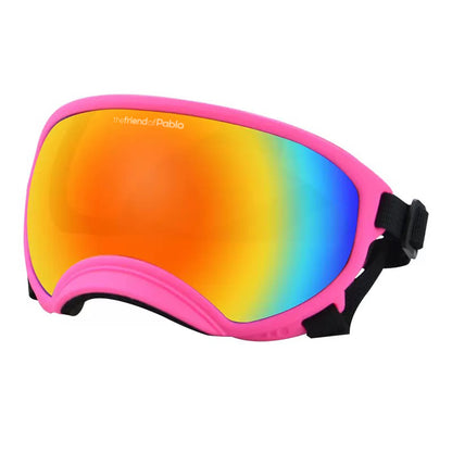 lentes de perro