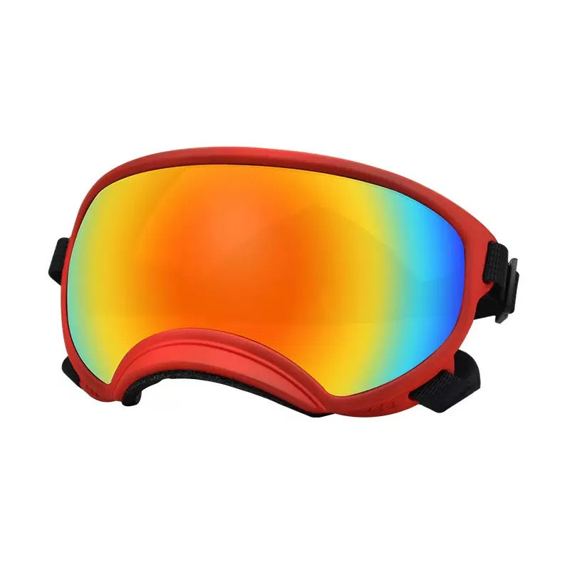 lentes de perro