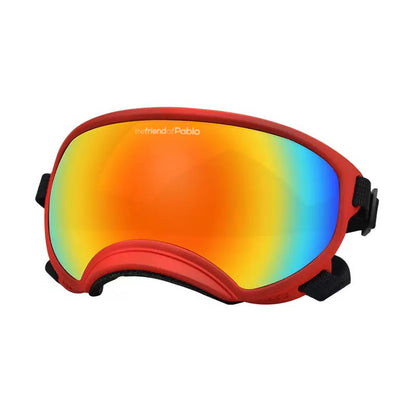 lentes de perro